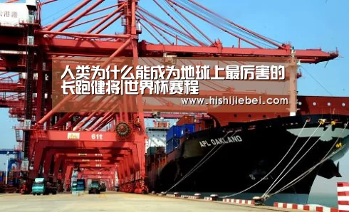 人类为什么能成为地球上最厉害的长跑健将|