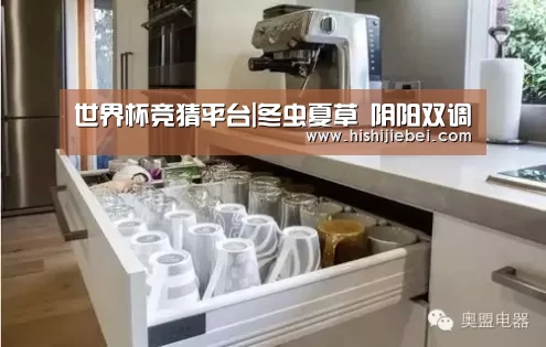 世界杯竞猜平台