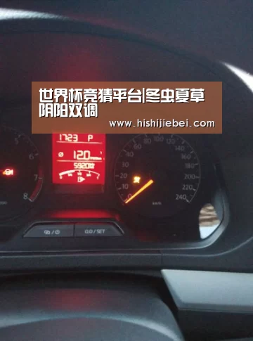 世界杯竞猜平台